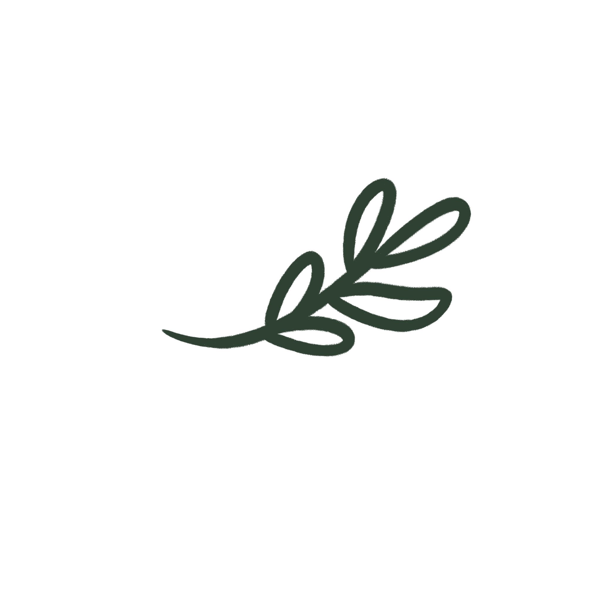 vine