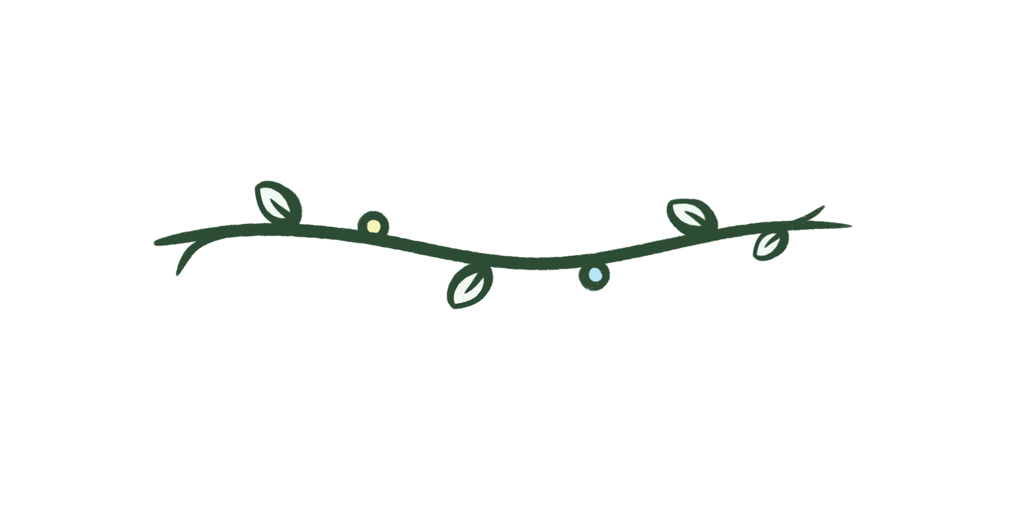 vine