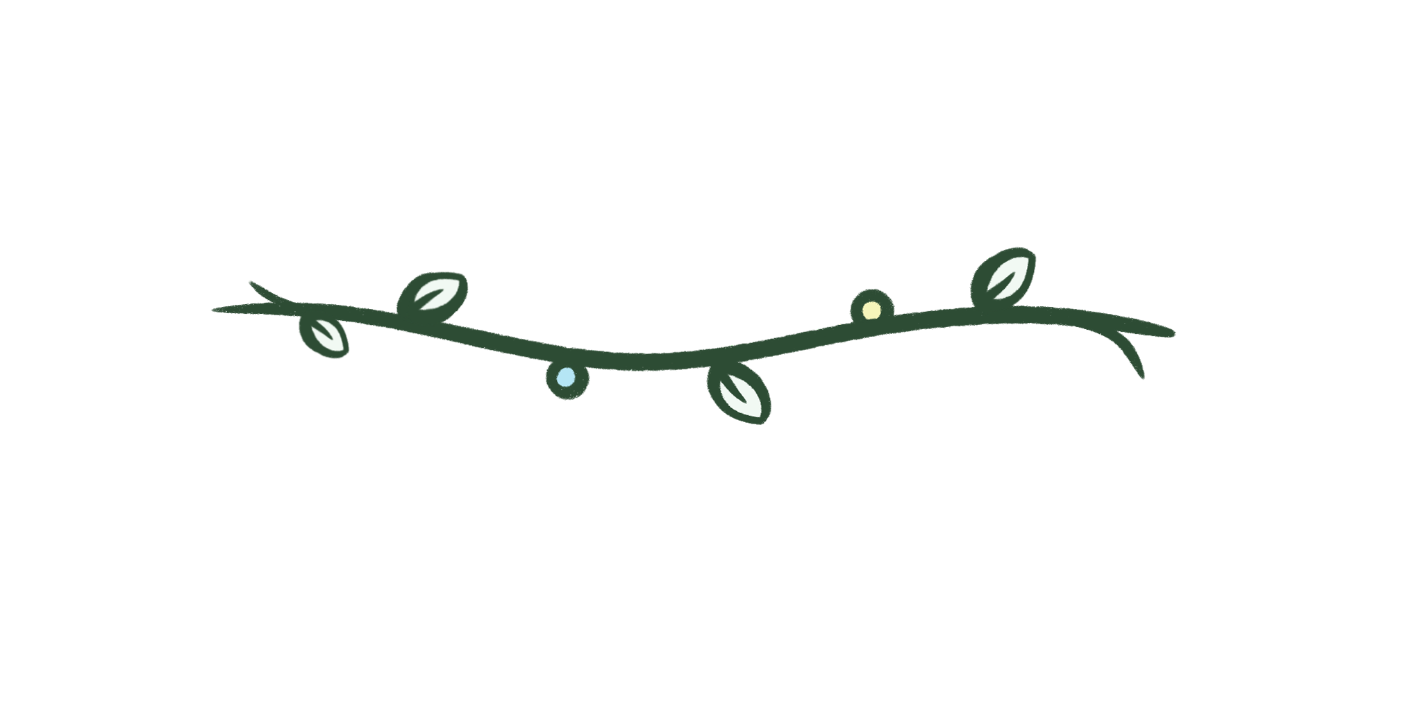 vine